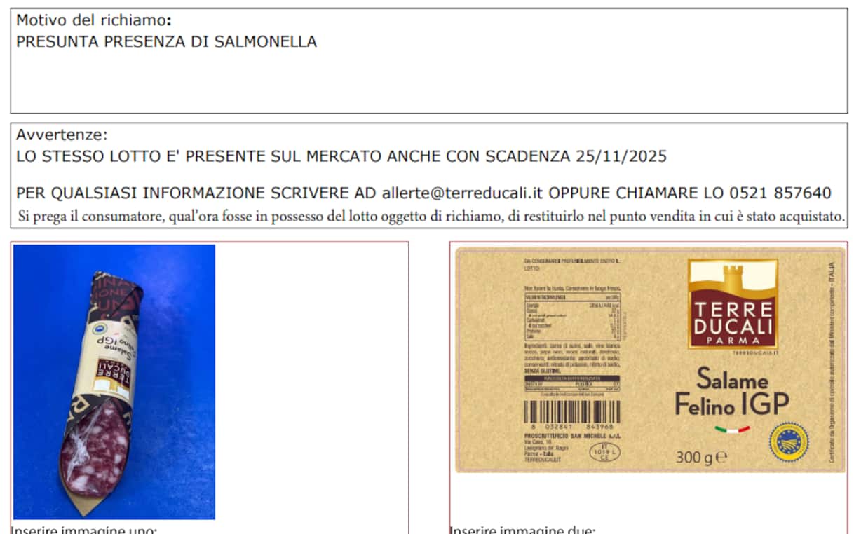 rischio salmonella richiamato un lotto di salame felino igp da Tg24.sky.it rischio salmonella richiamato un lotto di salame felino igp