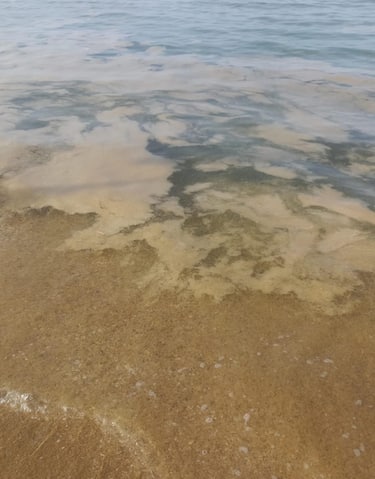 La presenza nell’Adriatico