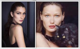 Bella Hadid, Carla Bruni
