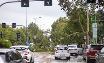 Foto Stefano Porta/LaPresse
24-07-2023 Milano, Italia - Albero caduto sulla carreggiata di Viale Fulvio Testi per il forte vento e il violento temporale, traffico bloccato

July 24, 2023 Milan, Italy - News - Tree fallen on Viale Fulvio Testi roadway due to strong wind and violent storm, traffic blocked