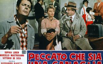 Peccato che sia una canaglia 