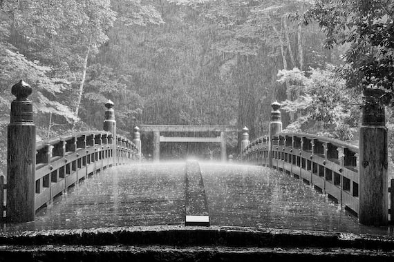 ® Andrea Lippi,  Ise, 2019