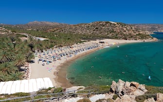 Vai palmtrees bay and beach at Crete island in Greece