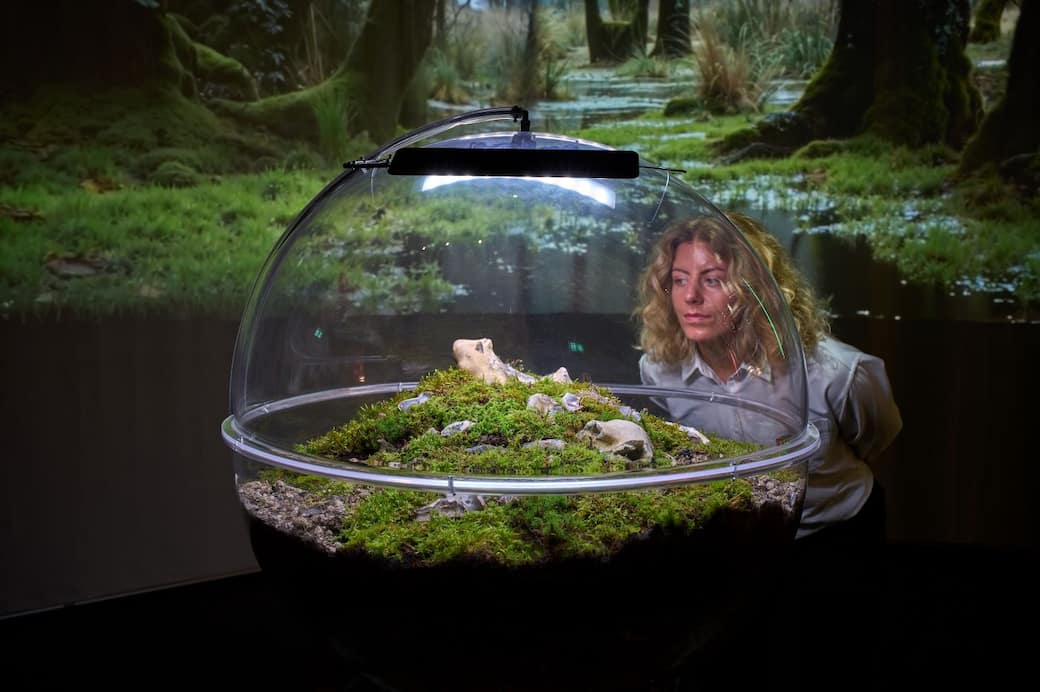 Danish Architecture Center, Age of Nature, 2025. Photo Ander Sune Berg