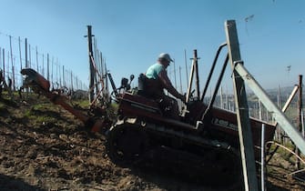 agricoltore