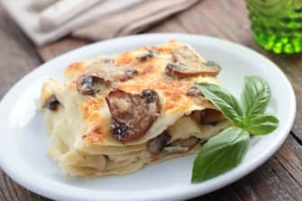 Lasagna with mushrooms and basil leaf