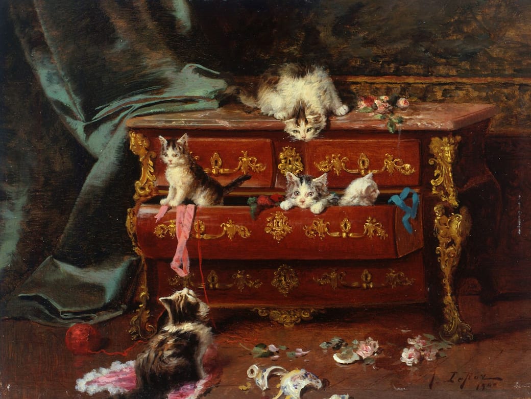 Jules LE ROY, Chats dans une commode, 1900, huile sur toile, Roubaix, La Piscine - Musée d'art et d'industrie André Diligent © Musée La Piscine (Roubaix), Dist. GrandPalaisRmn / Arnaud Loubry