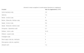 La tabella con i tempi indicati dal ministero della Salute