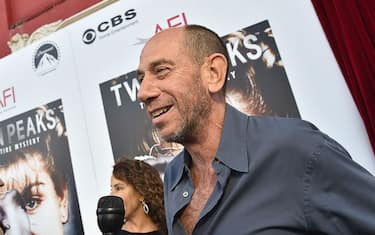 Getty_Images_Miguel_Ferrer