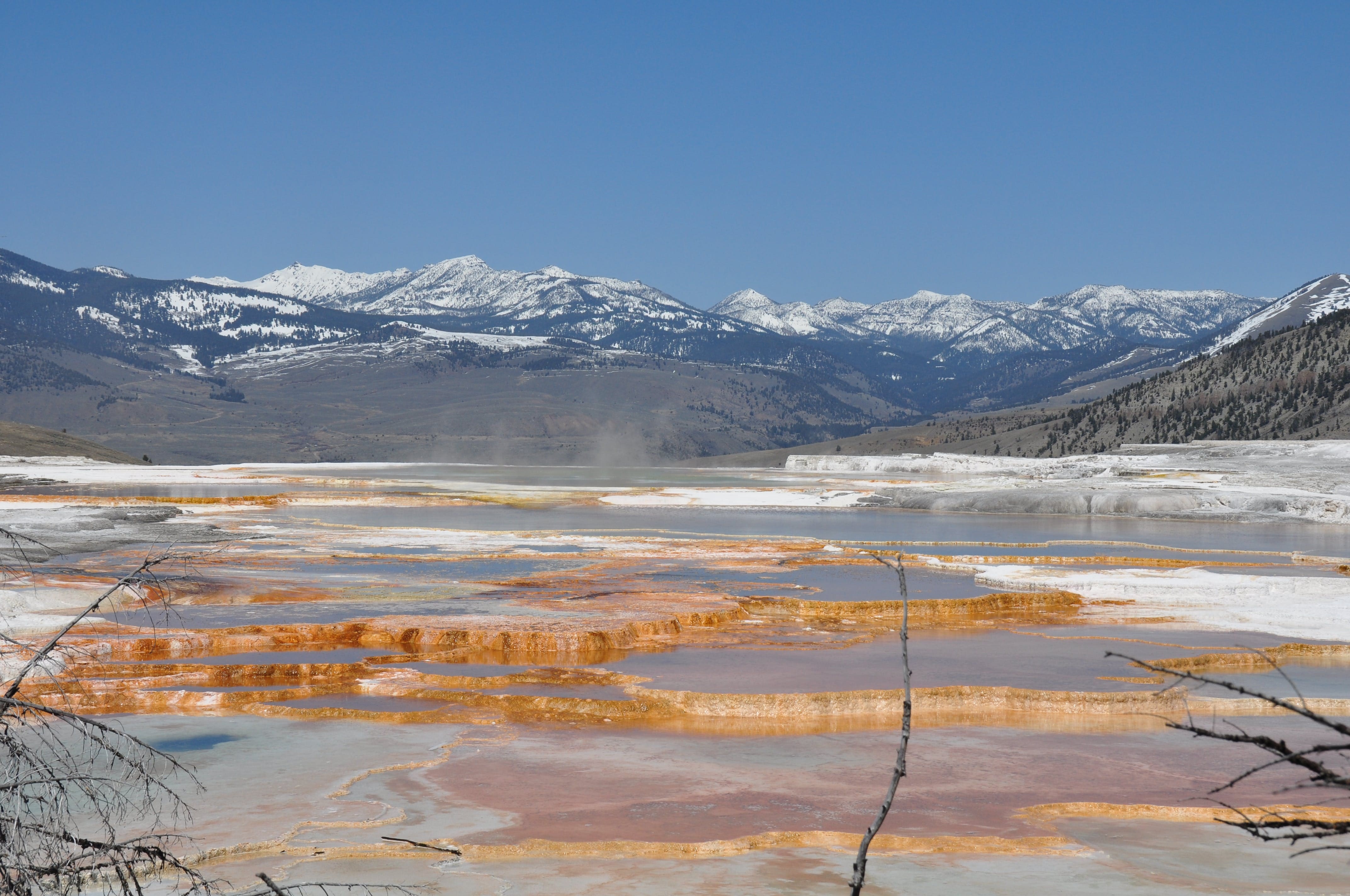 yellowstone