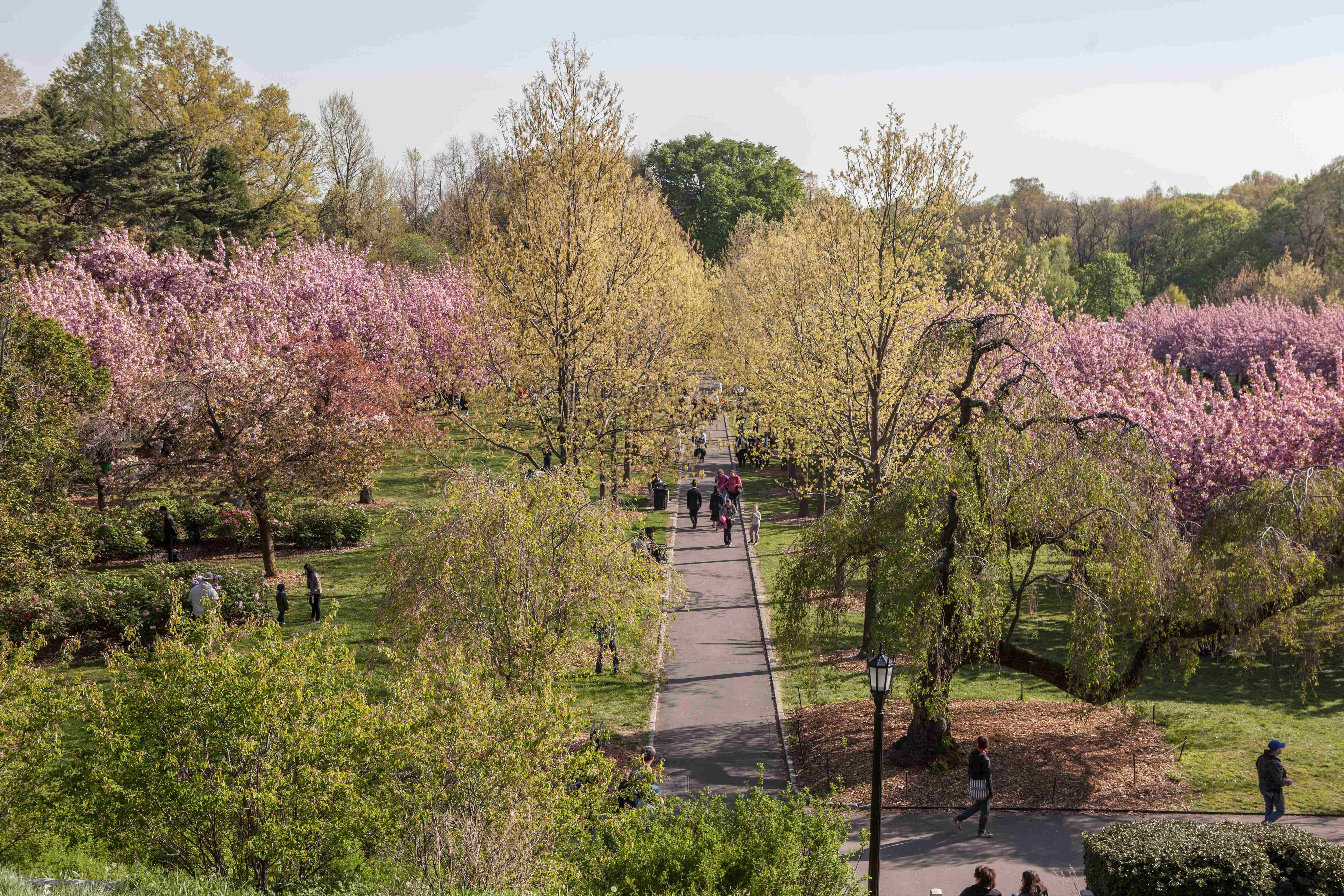 botanic garden