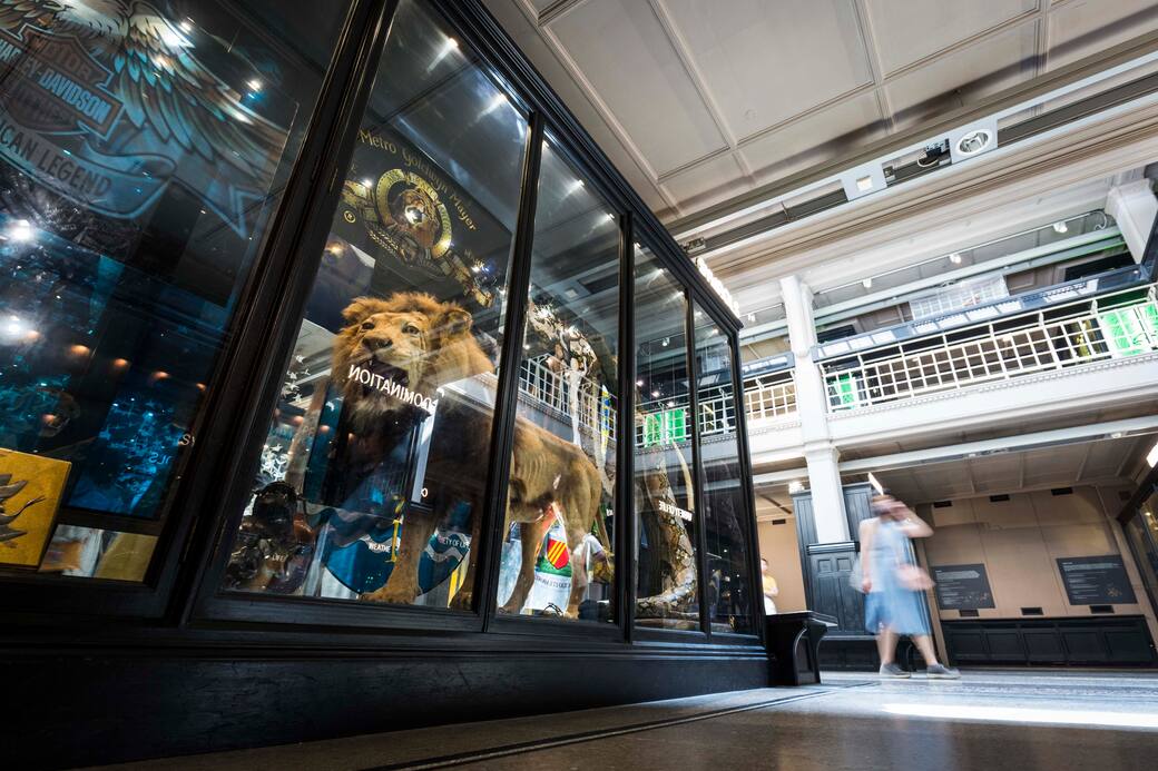 Manchester_Museum_-_Living_Worlds_Gallery_photo_by_Chris_Bull.JPG