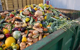 Expired Organic bio waste. Mix Vegetables and fruits in a huge container, in a rubbish bin. Heap of Compost from vegetables or food for animals.