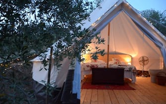 THE LAZY OLIVE GLAMPING