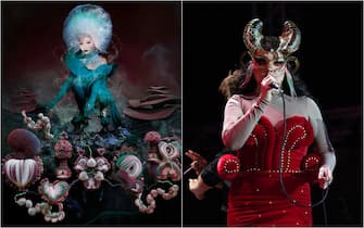 bjork album dischi fossora