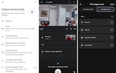 Verdetto, disponibilità e prezzi