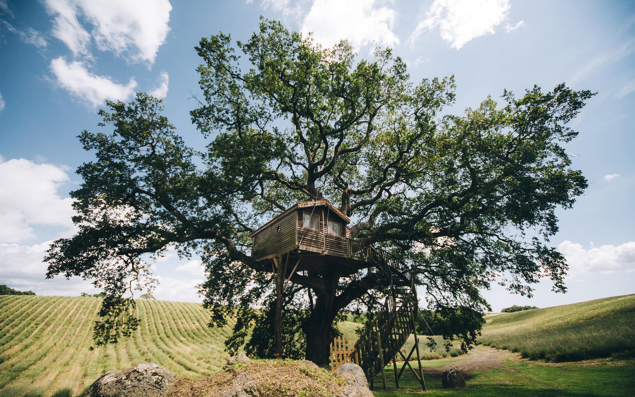 La casa sull'albero dell'agriturismo La Piantata nel Viterbese