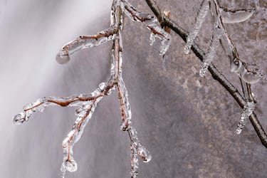 epa10548496 Twigs encrusted with ice hang above a stream near salgotarjan, northern Hungary, 29 March 2023, when subzero temperatures were recorded overnight in most parts of the country.  EPA/Peter Komka HUNGARY OUT