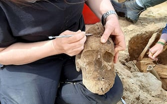 mont'e prama sardegna scavi archeologici giganti