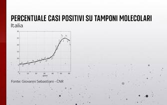 Grafiche coronavirus: la percentuale di positivi sui tamponi molecolari