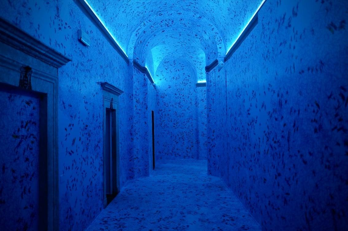 1_PietroRuffo_EMOTION_photoadicorbetta.jpg