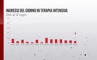Grafiche coronavirus: gli ingressi del giorno in terapia intensiva