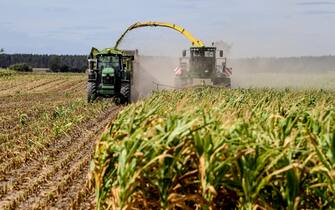 epa08615194 A harvester is accompanied by a tractor with a silo trailer as rthey are driving side-by-side during the harvesting of a corn field near Leipzig, Germany, 20 August 2020.  EPA/FILIP SINGER