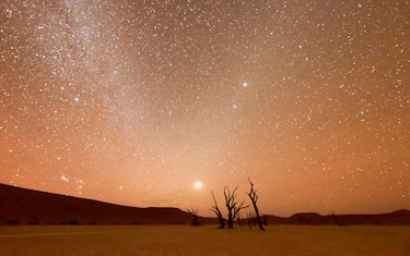 Deserto del Namib, Namibia