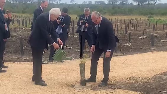 Mattarella "giardiniere" nella tenuta di Castelporziano