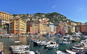 Camogli - Fishing village and tourist resort Golfo Paradiso in the Riviera di Levante Liguria. Italy, Italian.