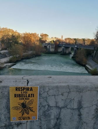  protesta di extintion rebellion ROMA