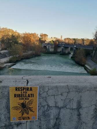 protesta ambientalista a Roma