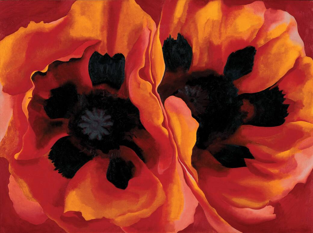 Georgia_O’Keeffe_Oriental_Poppies_1927_olio_su_tela.jpg