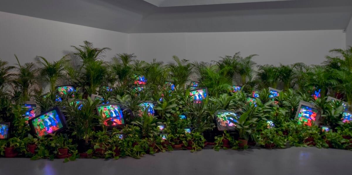 TV-Garden-1974-1977_installation-view.jpg