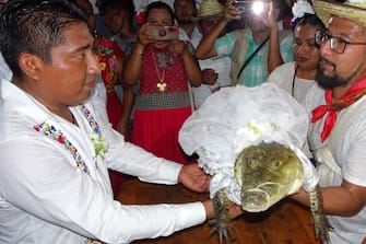 Victor Hugo Sosa, Mayor of San Pedro Huamelula, marries a spectacled caiman (Caiman crocodilus) called "La NiÃ±a Princesa" ("The Princess Girl") in San Pedro Huamelula, Oaxaca state, Mexico on June 30, 2023. This ancient ritual of more than 230 years unites two ethnic groups in marriage to bring prosperity and peace. The spectacled caiman (Caiman crocodilus) is paraded around the community before being dressed as a bride and marrying the Mayor. According to beliefs, this union between the human and the divine will bring blessings such as a good harvest and abundant fishing. (Photo by RUSVEL RASGADO / AFP) (Photo by RUSVEL RASGADO/AFP via Getty Images)