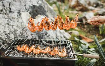 Delicious prawns skewers on barbecue grill with smoke in green grass. Grilled shrimp skewers with herbs, garlic and lemon. Seafood, shelfish.