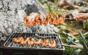 Delicious prawns skewers on barbecue grill with smoke in green grass. Grilled shrimp skewers with herbs, garlic and lemon. Seafood, shelfish.