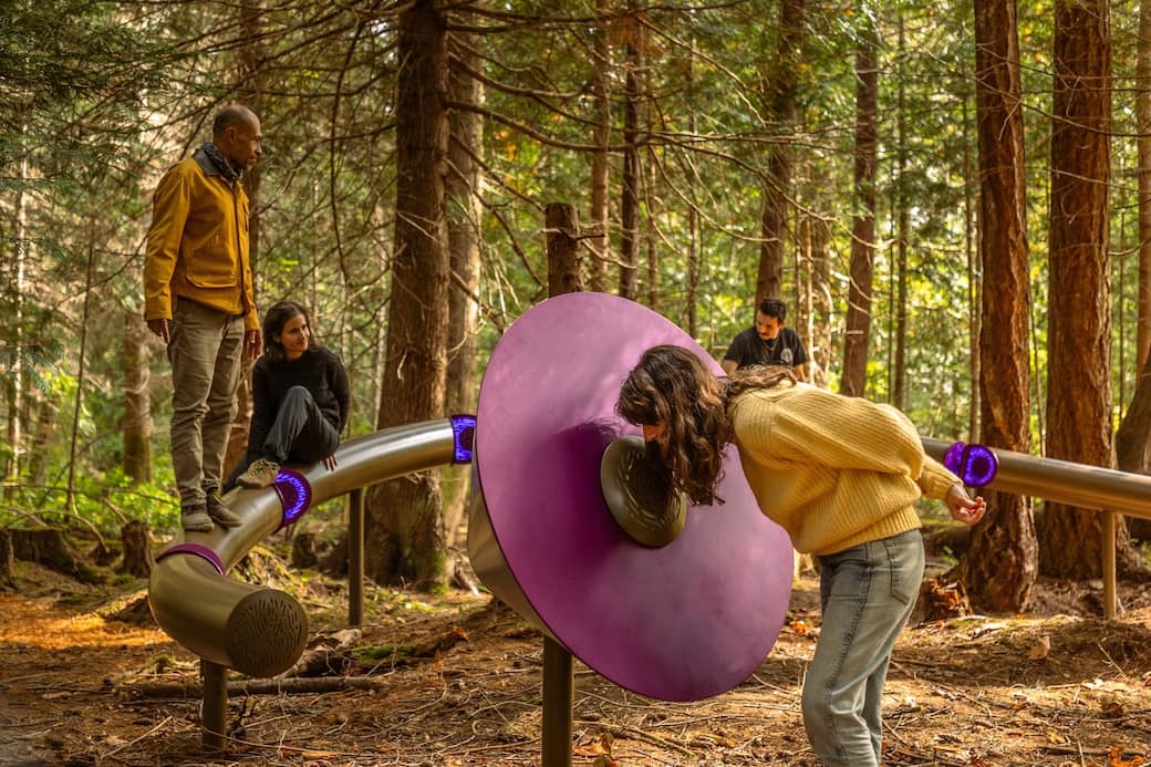 Daily tous les jours, Forest Mixer. Foto © Ramble Films