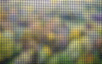Close-up mosquito wire screen texture, mosquito net for prevent insects and bugs