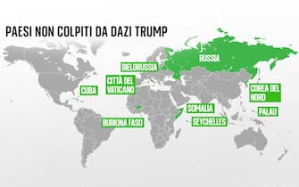 Grafiche Numeri