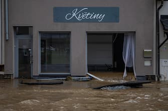 epa11605644 A view of a damaged flower shop caused by the overflowing of the Bela River following heavy rain in the town of Jesenik, Czech Republic, 15 September 2024. Floods caused by heavy rains have been battering central and eastern Europe since 13 September, with at least four dead in Romania, four missing in the Czech Republic, and alarming water levels recorded in Poland.  EPA/MARTIN DIVISEK