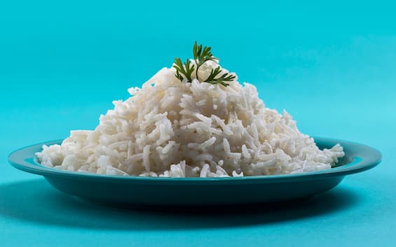 Carne coltivata nei chicchi di riso, alimento ibrido creato in Corea del  Sud | Sky TG24