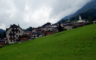 Sauris
