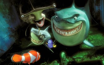 alla ricerca di nemo film