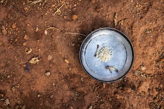 A plate with a little rice and chicken bones on dry, red desert earth, in Rwanda, during the 2016 food crisis in East-Africa caused by El Nino.