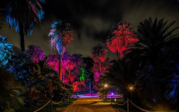 Un'area illuminata nello storico parco