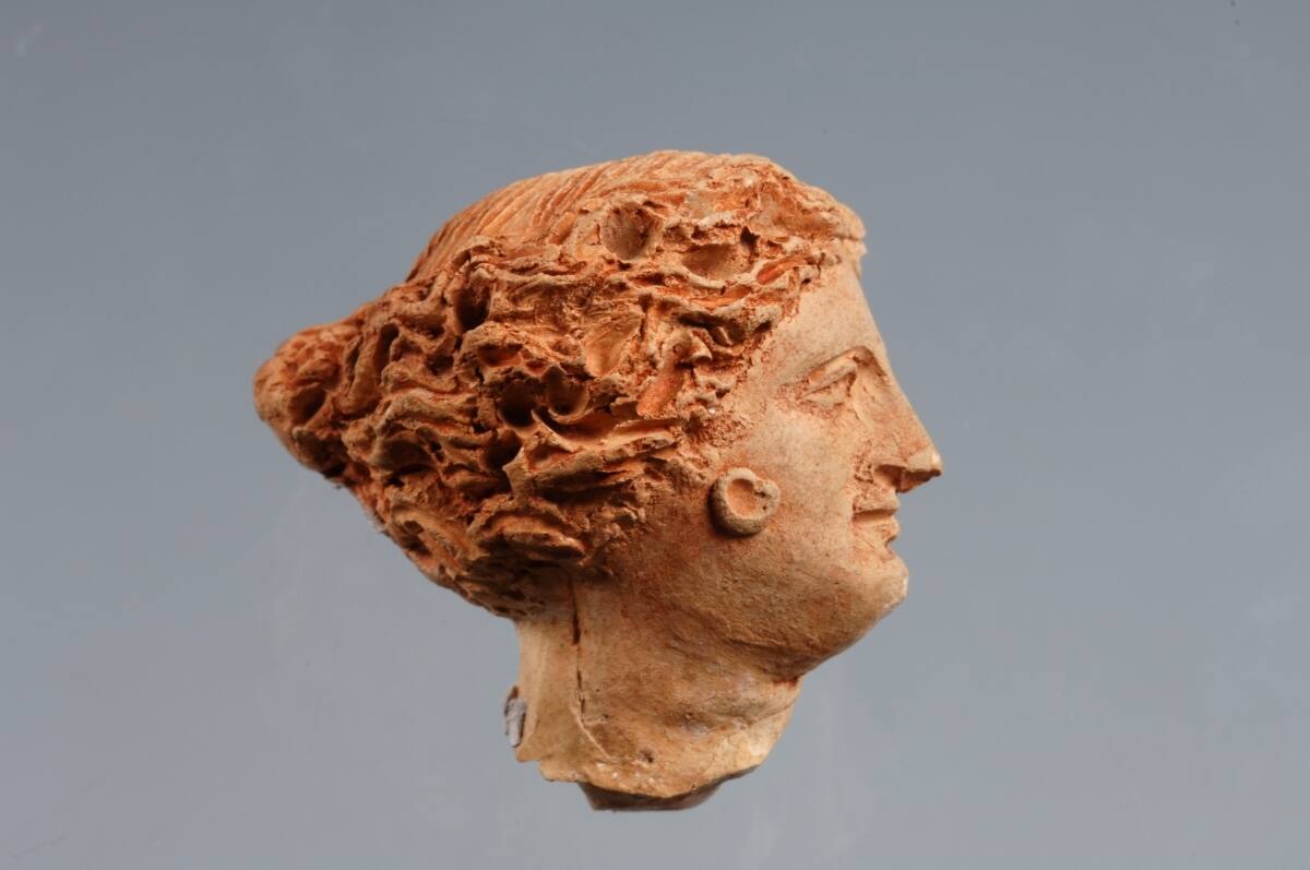 Testina_femminile_fittile_della_collezione_di_Alessandro_Palma_di_Cesnola.JPG