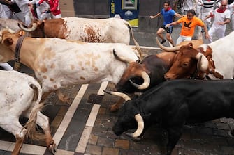 Participants run with bulls during the first "encierro" (bull-run) of the San Fermin festival in Pamplona, northern Spain, on July 7, 2023. Thousands of people every year attend the week-long festival and its famous 'encierros': six bulls are released at 8:00 a.m. evey day to run from their corral to the bullring through the narrow streets of the old town over an 850 meters (yard) course while runners ahead of them try to stay close to the bulls without falling over or being gored. (Photo by CESAR MANSO / AFP) (Photo by CESAR MANSO/AFP via Getty Images)