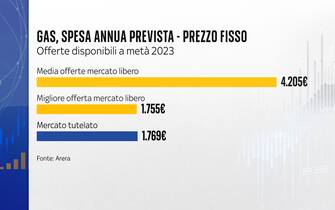 Offerte gas prezzo fisso