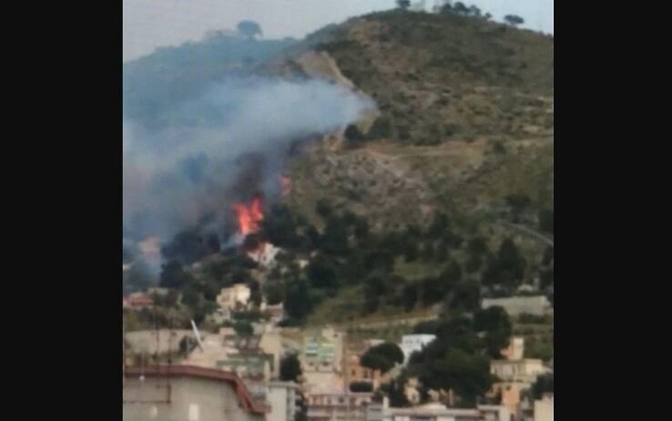 L'incendio nella zona montuosa di Erice